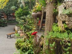 -青城甲(青城山店)