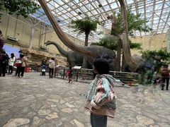 -国家自然博物馆