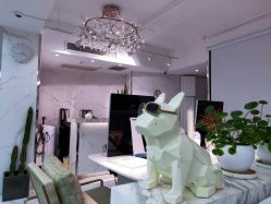 -潘多拉Hairsalon