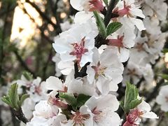 -新江湾城公园