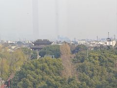 -顽啤熊·酒客酒馆(苏城夜景必选店)