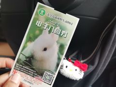 -秦皇岛野生动物园