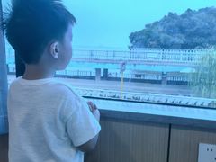 -巢湖姥山岛