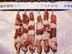 羊肉串-三个蒙古大叔羊肉串(大宁店)