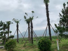 -在海一方公园
