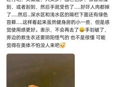 -重庆市奥林匹克体育中心-游泳跳水馆