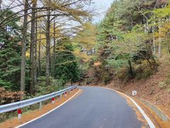 -四明山国家森林公园
