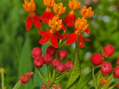 -上海山野camping·户外天幕烧烤·团建拓展营地