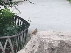 -文瀛公园