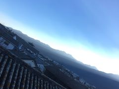 -喵屿·大理花园猫咖