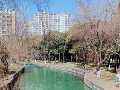 -中央公园(苏州工业园区)