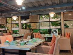 -四季合味椰子鸡(南山大冲店)