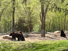 -北京野生动物园