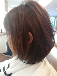 中发-THE LOG SALON 记录