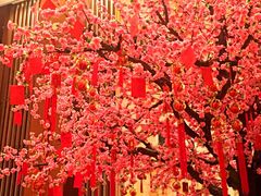 -扬州皇冠假日酒店