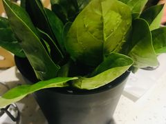 -京韵胡同·酱香羊蝎子火锅涮肉(长寿路店)