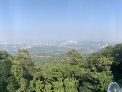 -黄埔油麻山森林公园
