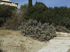 -赫淮斯托斯神庙