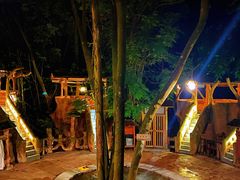 -天门沟九州驿站树上汤泉