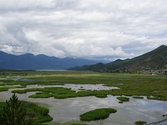 -泸沽湖国家级风景名胜区走婚桥
