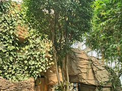 -石家庄市植物园