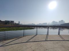 -月湖风景区