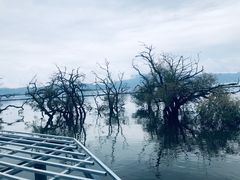 -大理洱海