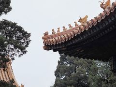 -故宫博物院(故宫)