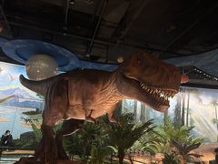 -陕西自然博物馆