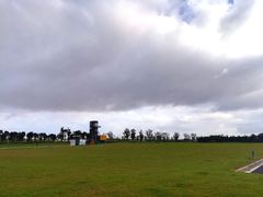 -春花秋色城市公园