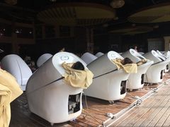 -咸宁万豪温泉谷度假区