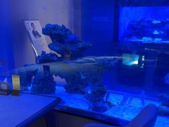 -上和臻品中国菜(花园街店)