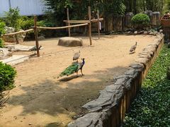 -东莞香市动物园