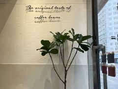 -red donkey coffee