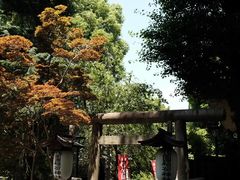 -东京国立博物馆