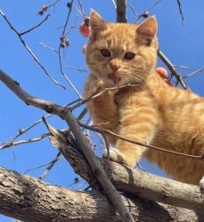 -意然瑜伽·普拉提