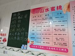 -老袁家蜜桃农场·阳山水蜜桃