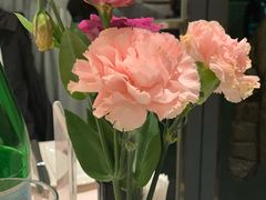 餐具摆设-雅室牛排(仁爱圆环店)