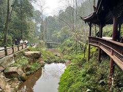 -青城山