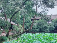 -成都武侯祠博物馆