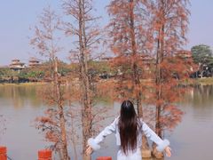 -美的鹭湖森林度假区