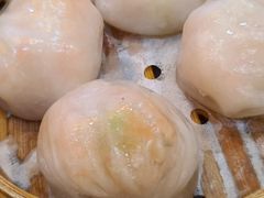 有腥气虾饺皇-有腥气私房菜·寻味顺德