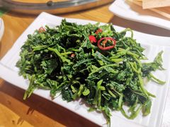 凉拌桑芽菜-顺意会馆(南门店)