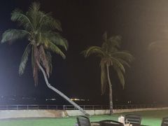 -JW万豪厨房餐厅·滨海草坪烧烤·海鲜·海景(三亚绿发山海天JW万豪酒店)
