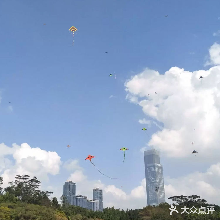 深圳旅游攻略～莲花山公园