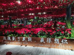 -武汉5D星空错觉艺术馆(中心百货店)