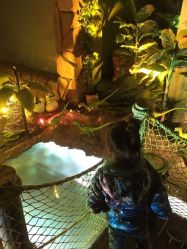 -恐龙探索乐园(磁器口店)