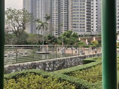 -石排湾郊野公园