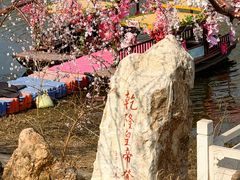 -桃花堤公园