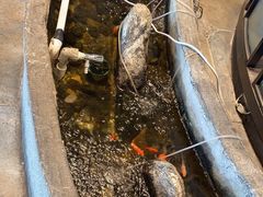 -湘芙蓉·湖南菜(椒江店)